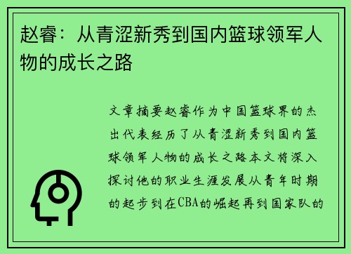 赵睿：从青涩新秀到国内篮球领军人物的成长之路